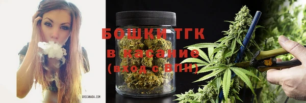ешки Алексин