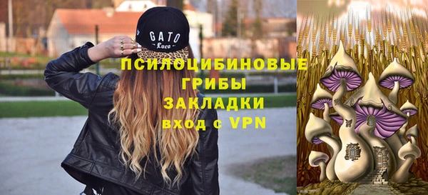 герыч Алзамай