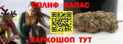 эйфоретик Моздок