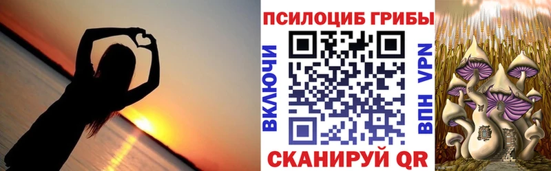наркотики  Нижнеудинск  Галлюциногенные грибы MAGIC MUSHROOMS 