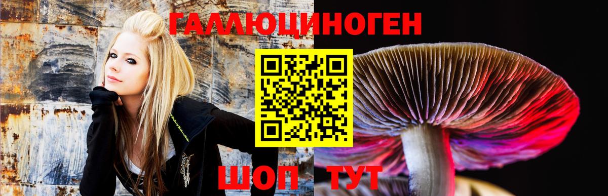 Нижнеудинск  Галлюциногенные грибы мицелий  Вход с VPN 